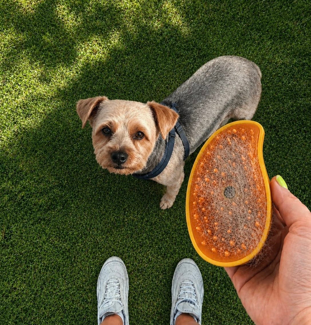 Cepillo mascotas con vaporizador